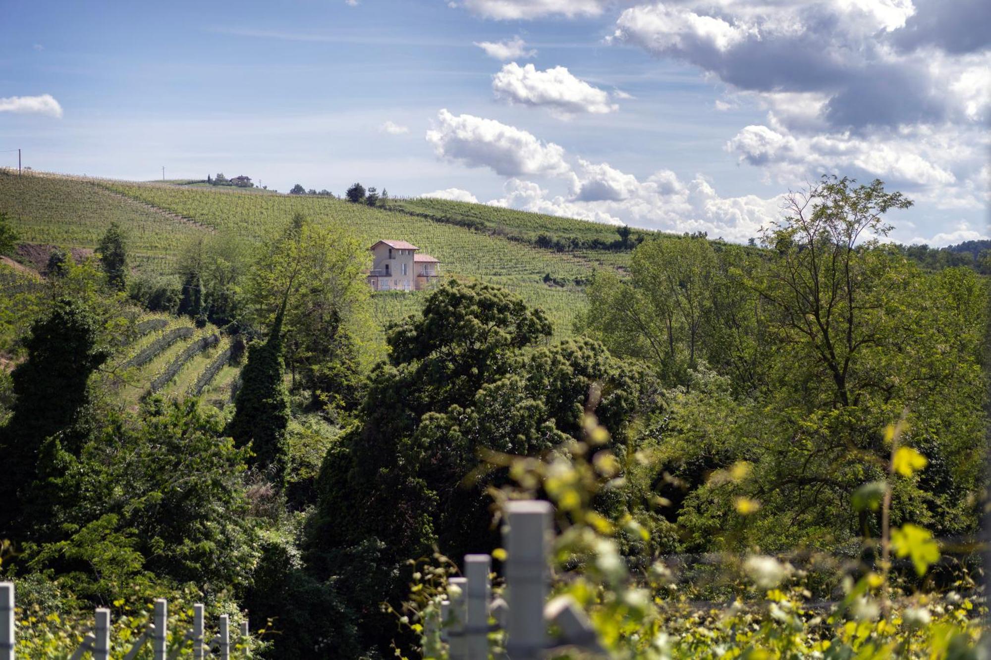 I Ciabot Di Monforte Monforte dʼAlba Εξωτερικό φωτογραφία